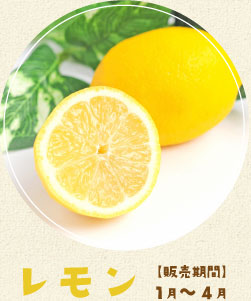 レモン　【販売期間】１月～４月
