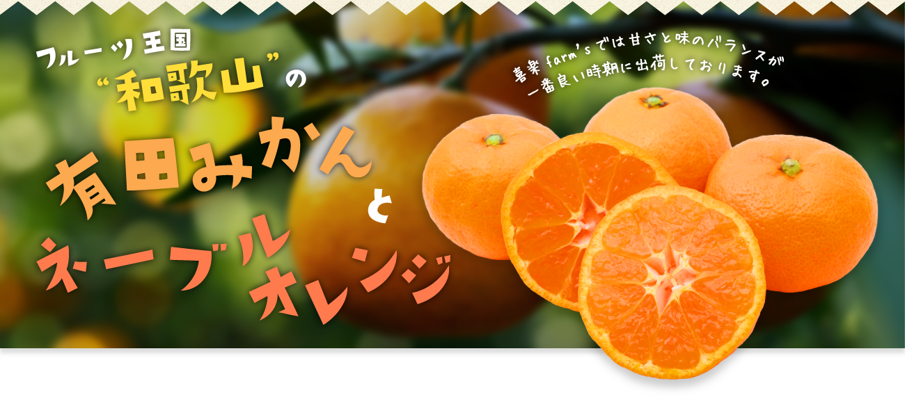 フルーツ王国「和歌山」の有田みかんとネーブルオレンジ